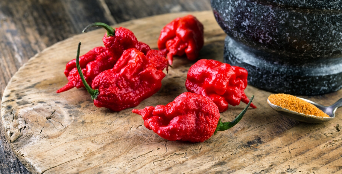 Featured image - reduced1