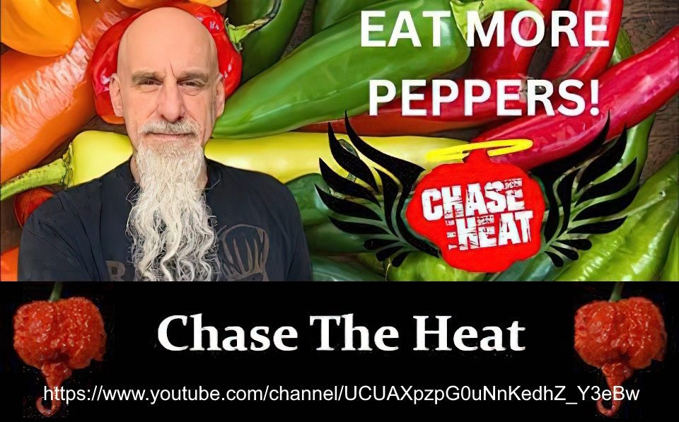 chase the heat